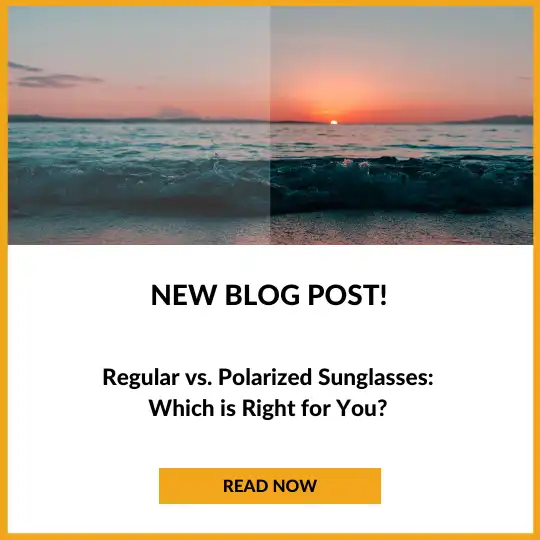 polarized sunglasses